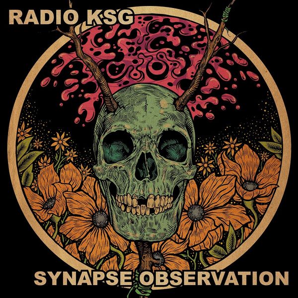 Radio KSG - Synapse Observation Radio KSG - Synapse Observation