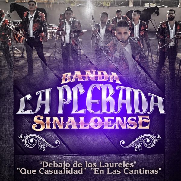Banda la Plebada Sinaloense - Popurri: Debajo de los Laureles / Que Casualidad / En las Cantinas Banda la Plebada Sinaloense - Popurri: Debajo de los Laureles / Que Casualidad / En las Cantinas
