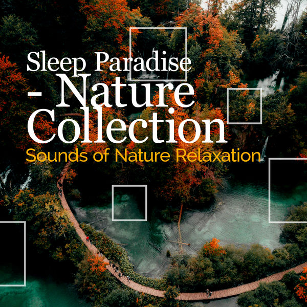 Sounds of Nature Relaxation|Sleep Paradise - Nature Collection