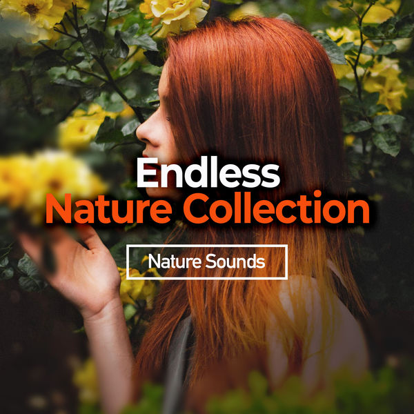 Nature Sounds - Endless Nature Collection Nature Sounds - Endless Nature Collection