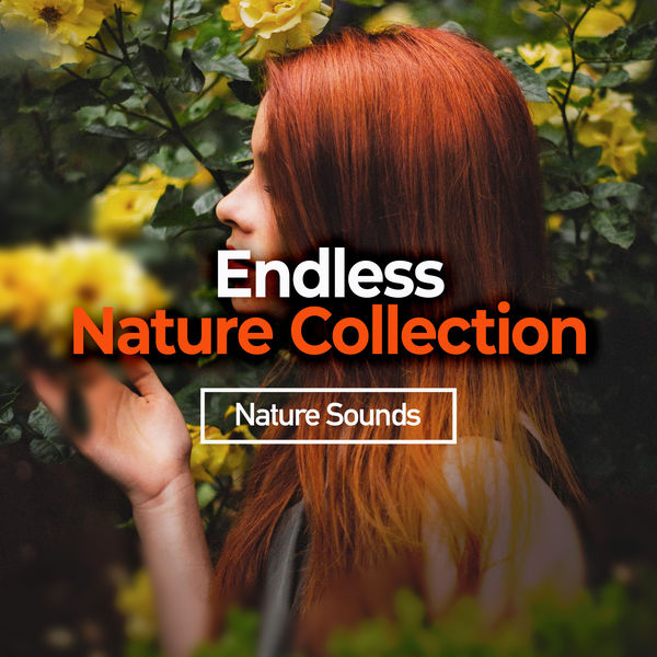 Nature Sounds|Endless Nature Collection