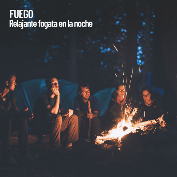 Meditation Music Zone - Fuego: Relajante fogata en la noche Meditation Music Zone - Fuego: Relajante fogata en la noche
