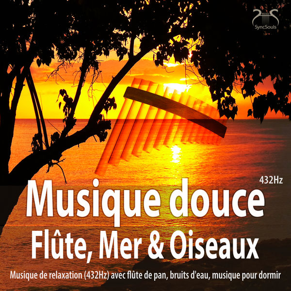 Musique douce flûte, mer et oiseaux Musique de relaxation (432Hz