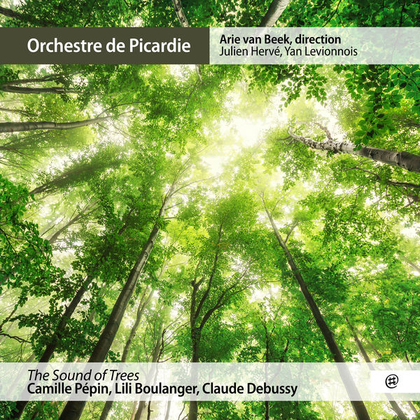 Camille Pépin - The Sound of Trees Camille Pépin - The Sound of Trees