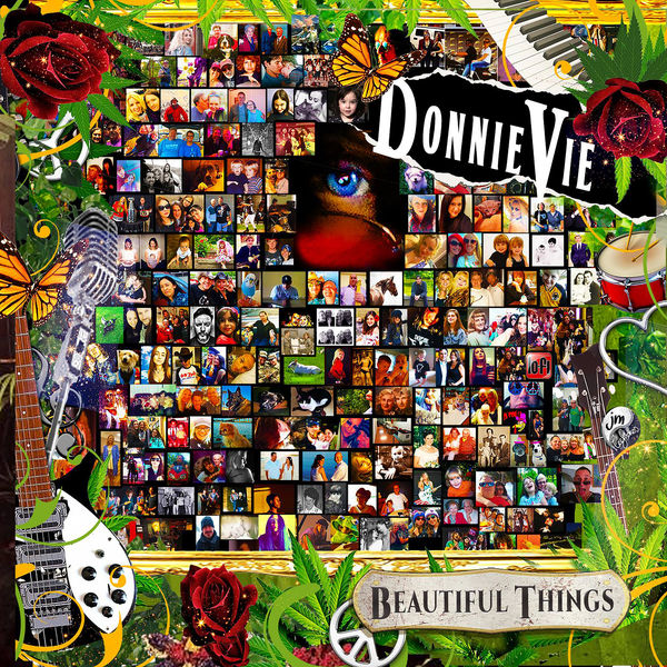 Donnie Vie - Beautiful Things Donnie Vie - Beautiful Things