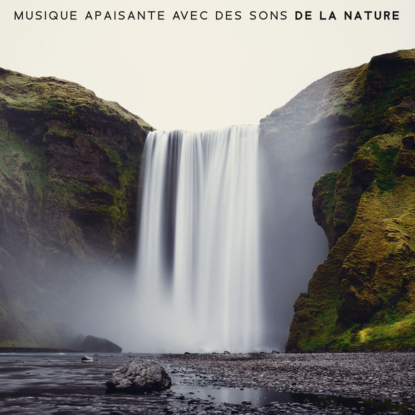 lbum-musique-apaisante-avec-des-sons-de-la-nature-des-sons-de