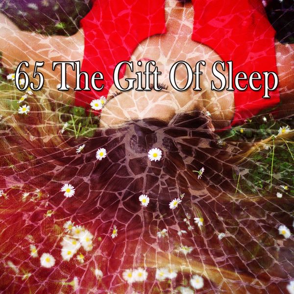Dormir - 65 The Gift of Sleep Dormir - 65 The Gift of Sleep
