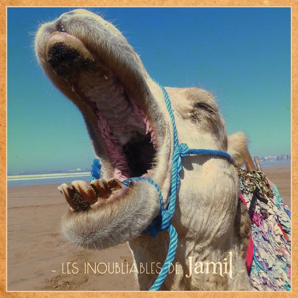 Jamil - Les inoubliables de Jamil Jamil - Les inoubliables de Jamil