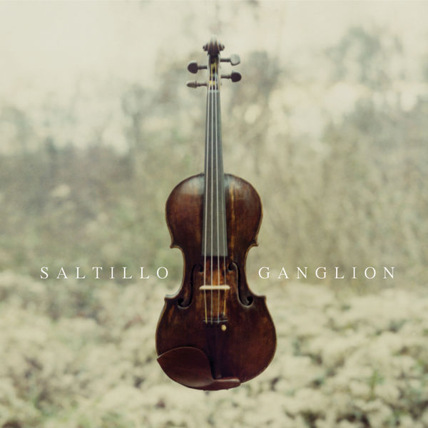 Saltillo|Ganglion