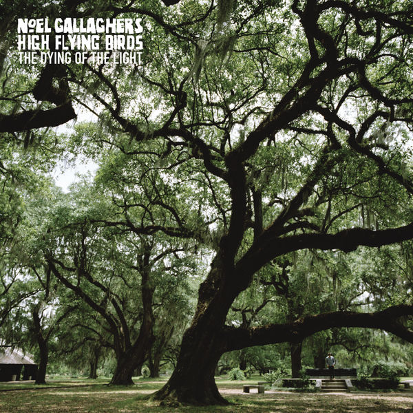 Noel Gallagher's High Flying Birds|The Dying Of The Light Noel Gallagher's High Flying Birds|The Dying Of The Light