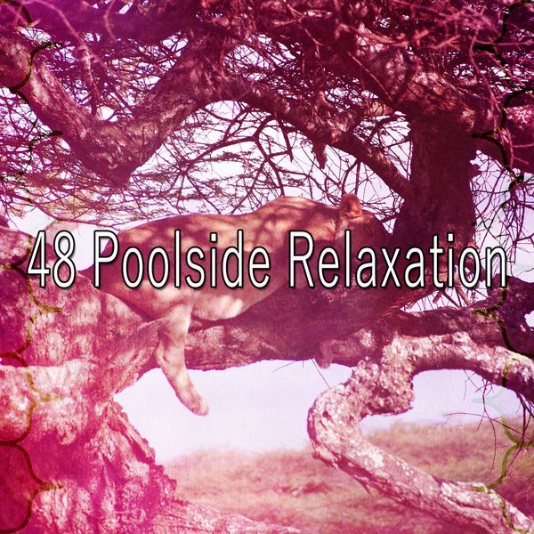 Best Relaxing Spa Music|48 Poolside Relaxation