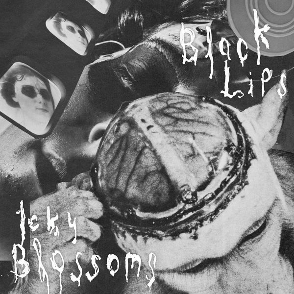 Black Lips|Cowboy Knights Black Lips|Cowboy Knights