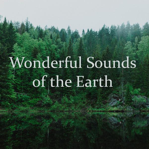 Odyssey for Relax Music Universe - Wonderful Sounds of the Earth – Music for Healing Through Sound and Touch Odyssey for Relax Music Universe - Wonderful Sounds of the Earth – Music for Healing Through Sound and Touch