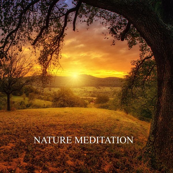 Nature Meditation - Nature Meditation Nature Meditation - Nature Meditation