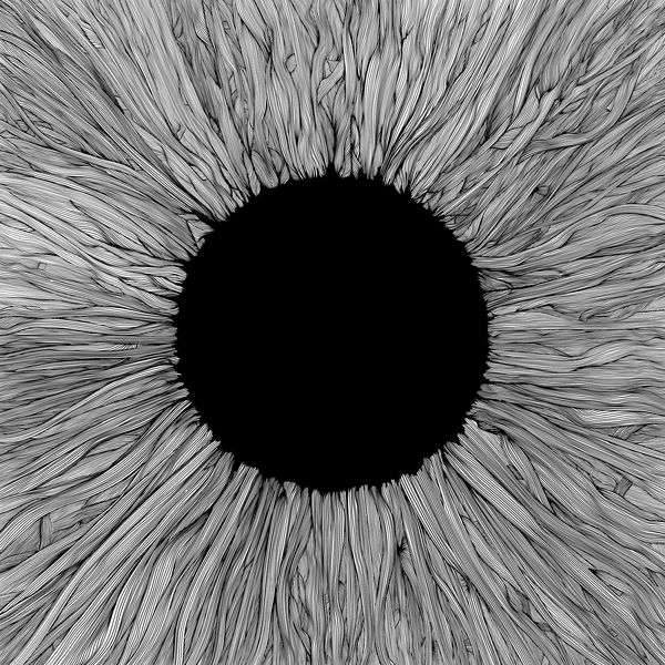 Vola|Witness Vola|Witness