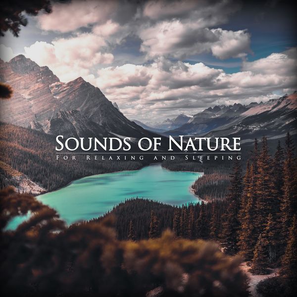 Nature Studio - Natural Sounds for Relaxing and Sleeping Nature Studio - Natural Sounds for Relaxing and Sleeping