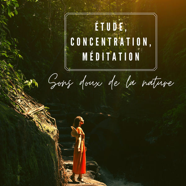 Oasis des bruits naturels|Étude, concentration, méditation (Sons doux de la nature)