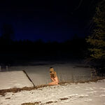 Kara-Lis Coverdale From Where You Came