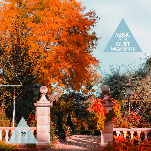 Álbum Music For Quiet Moments 29 A Full Heart, Robert Fripp Qobuz