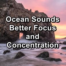 Ocean Sounds Better Focus and Concentration, Alpha Brain Waves - Qobuz