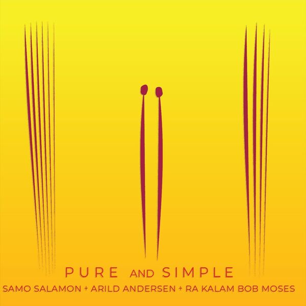 Samo Salamon|Pure and Simple