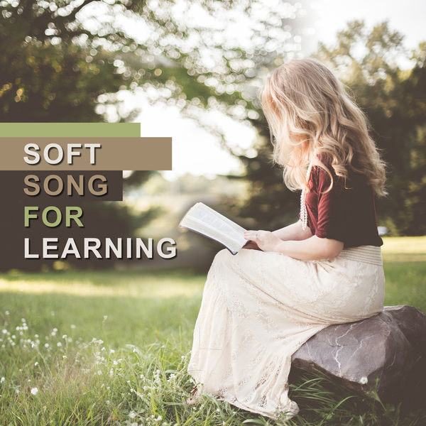 Brain Stimulation Music Collective|Soft Song for Learning: Concentration Music for Studying, Focus and Improve Memory, Study Exam Brain Stimulation Music Collective|Soft Song for Learning: Concentration Music for Studying, Focus and Improve Memory, Study Exam