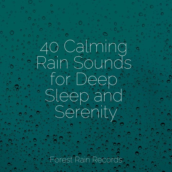 40 Calming Rain Sounds For Deep Sleep And Serenity The Rainforest