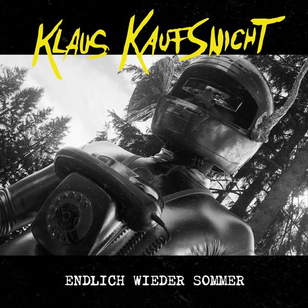Album Endlich Wieder Sommer Klaus Kaufsnicht Qobuz Download