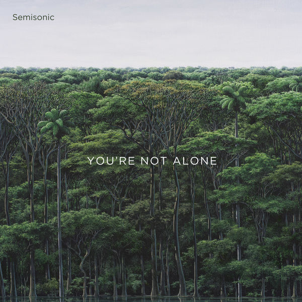 セミソニック|You're Not Alone