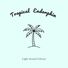 Light Sound Library Tropical Endorphin