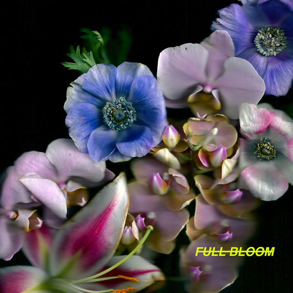 Alpines|Full Bloom Alpines|Full Bloom