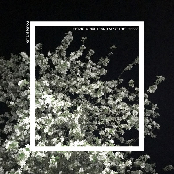 The Micronaut|And Also the Trees