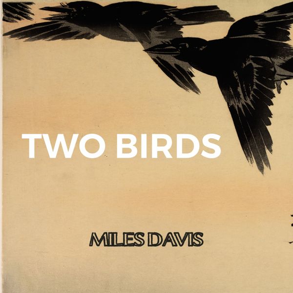 Miles Davis - Two Birds Miles Davis - Two Birds
