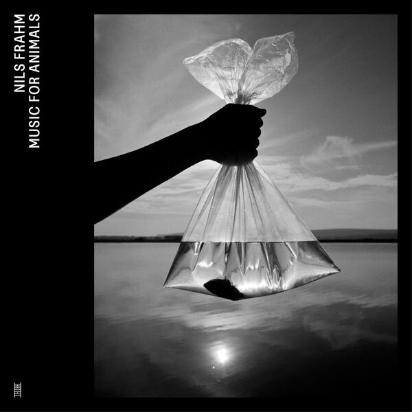 Nils Frahm|Music for Animals Nils Frahm|Music for Animals