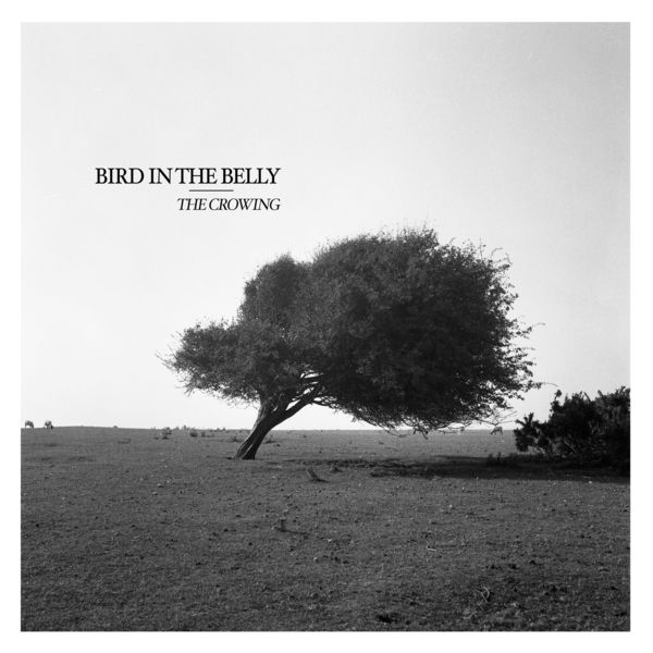 Bird in the Belly - The Crowing Bird in the Belly - The Crowing