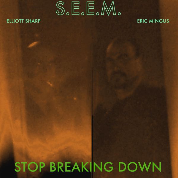 S.E.E.M. - Stop Breaking Down (feat. Elliott Sharp & Eric Mingus) S.E.E.M. - Stop Breaking Down (feat. Elliott Sharp & Eric Mingus)