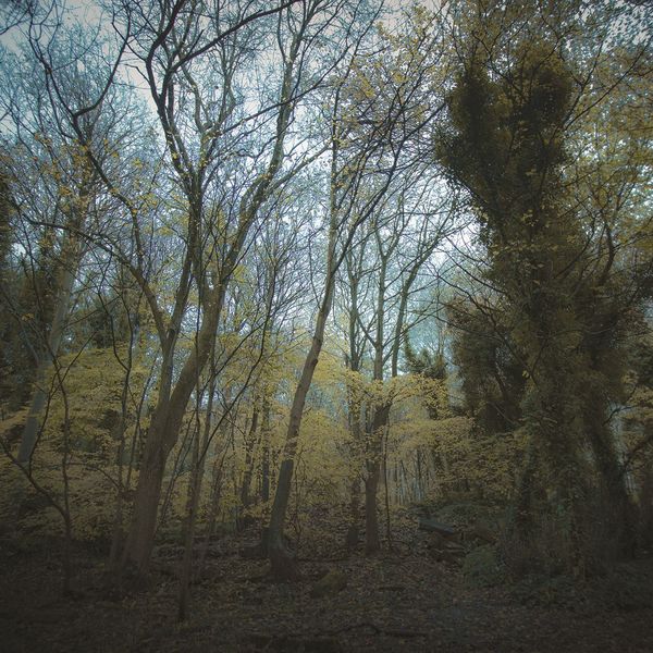 Worriedaboutsatan - Time Lapse Worriedaboutsatan - Time Lapse