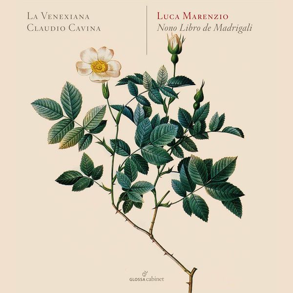 La Venexiana - Luca Marenzio: Madrigali á 5 voci, Libro 9 (Excerpts) La Venexiana - Luca Marenzio: Madrigali á 5 voci, Libro 9 (Excerpts)
