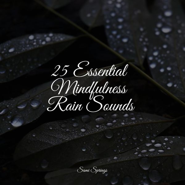 Tonal Meditation Collective|25 Essential Mindfulness Rain Sounds