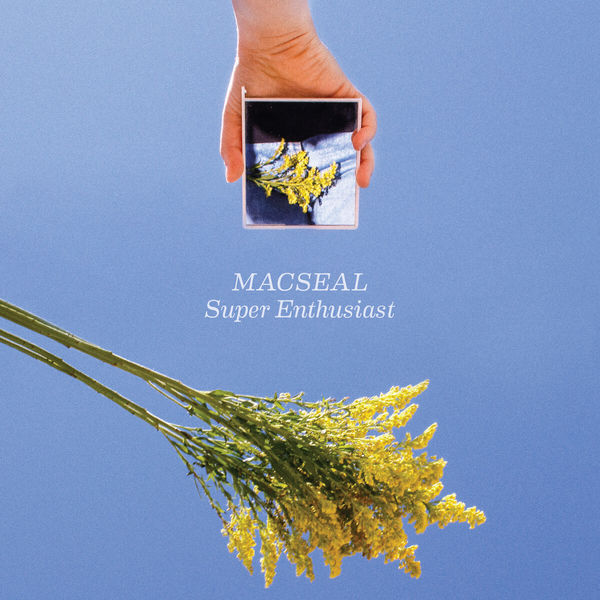 Macseal - Super Enthusiast Macseal - Super Enthusiast