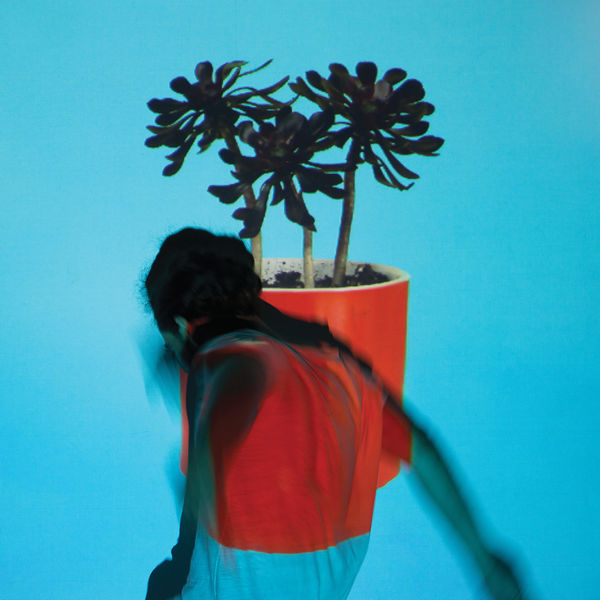 Local Natives|Sunlit Youth Local Natives|Sunlit Youth