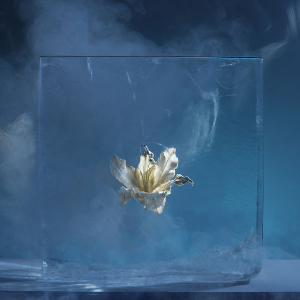Else - Sequence, Pt. I Else - Sequence, Pt. I