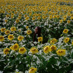 Nesta Your Love Alone