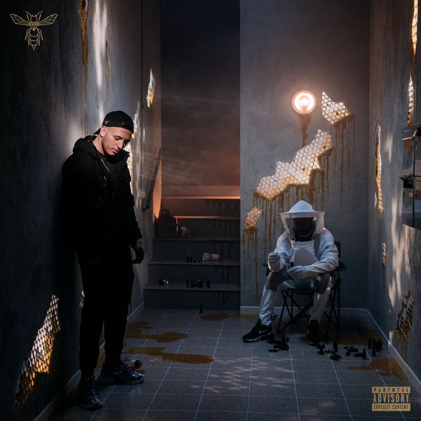 Hornet La Frappe - Ma ruche Hornet La Frappe - Ma ruche