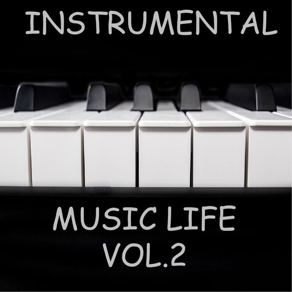 Various Artists - Instrumental Music Life vol.2 Various Artists - Instrumental Music Life vol.2