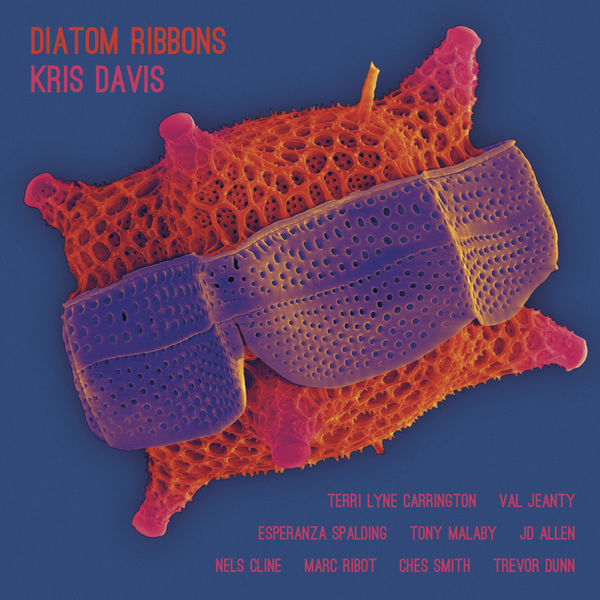 Kris Davis|Golgi Complex (The Sequel) [feat. Nels Cline, Marc Ribot, Trevor Dunn, Val Jeanty & Terri Lyne Carrington]