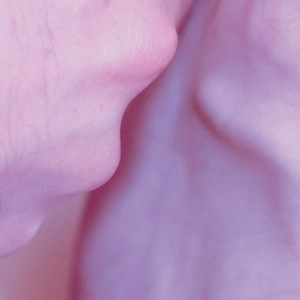 Wax Chattels - Cede Wax Chattels - Cede