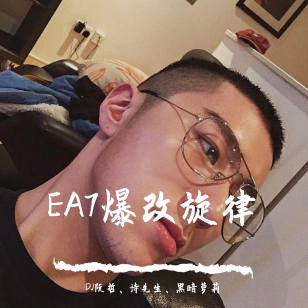 Album Ea7爆改旋律 Dj阮哲 Qobuz Descargas Y Streaming En Alta Calidad