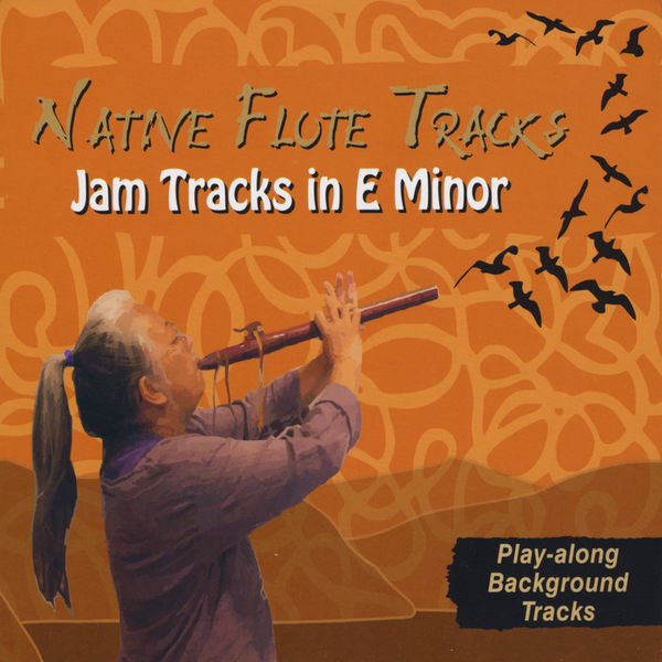 Various Artists - Jam Tracks in E Minor Various Artists - Jam Tracks in E Minor
