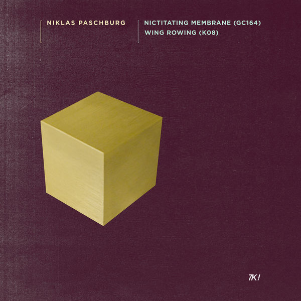 Niklas Paschburg|Nictitating Membrane (GC164) / Wing Rowing (K08) Niklas Paschburg|Nictitating Membrane (GC164) / Wing Rowing (K08)